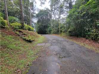 Secluded mountain driveway within lush forest at Altos de Centinela Cerro Azul Panama