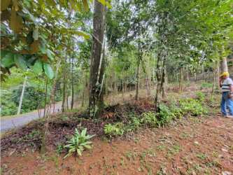 Wooded slope mountain land at Altos de Centinela Cerro Azul Panama for sale