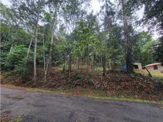 Paved road entry beside wooded lot at Altos de Centinela Cerro Azul Panama