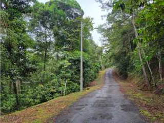 Land for Sale in Pacora - 0 bedrooms