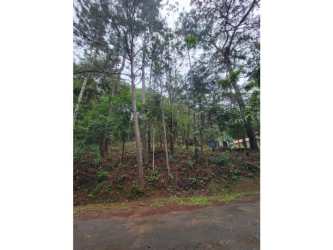 Wooded lot with road access in Altos de Centinela Cerro Azul mountain area Panama