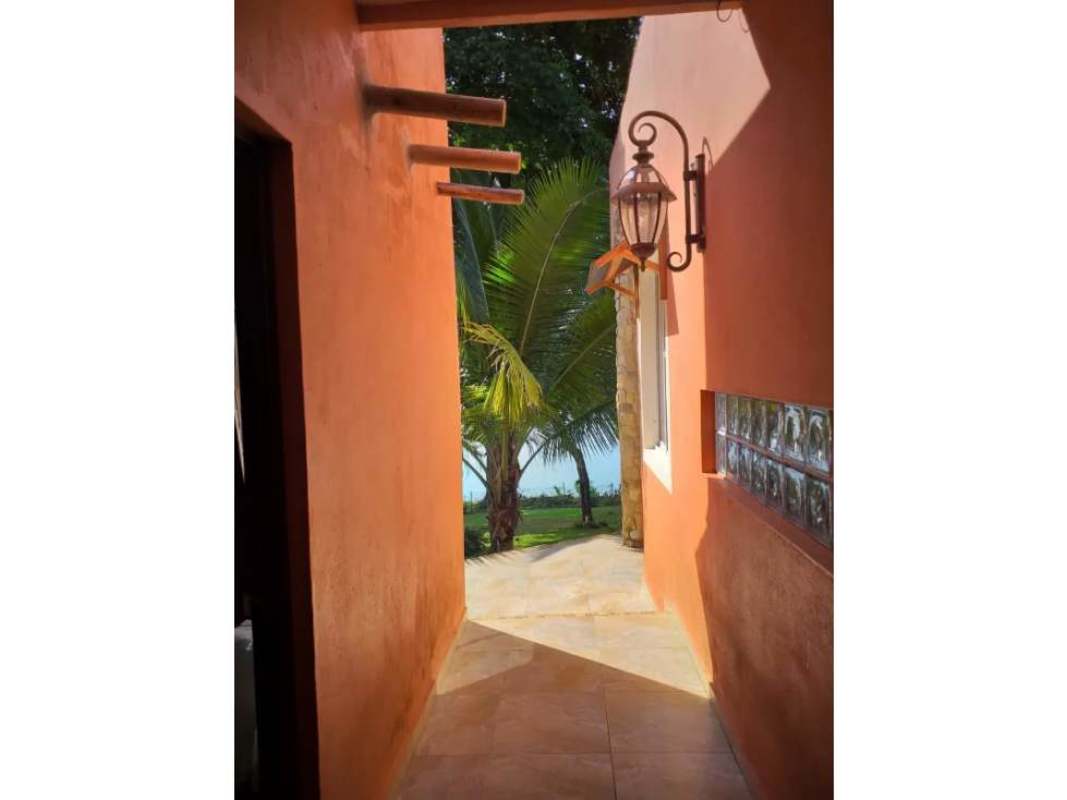 Ocean view deck chairs with lush tropical background in Isla Saboga