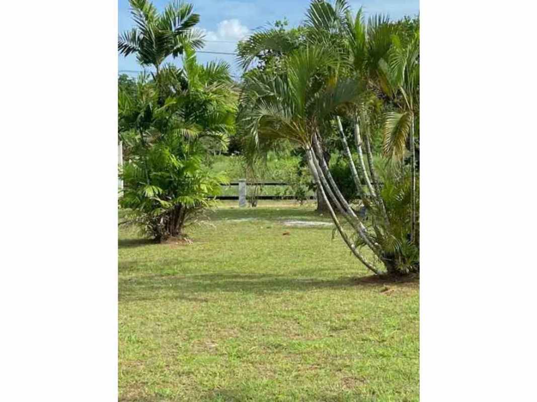 1,600m² Lot with Cabin Riverside Nature Retreat Pacora