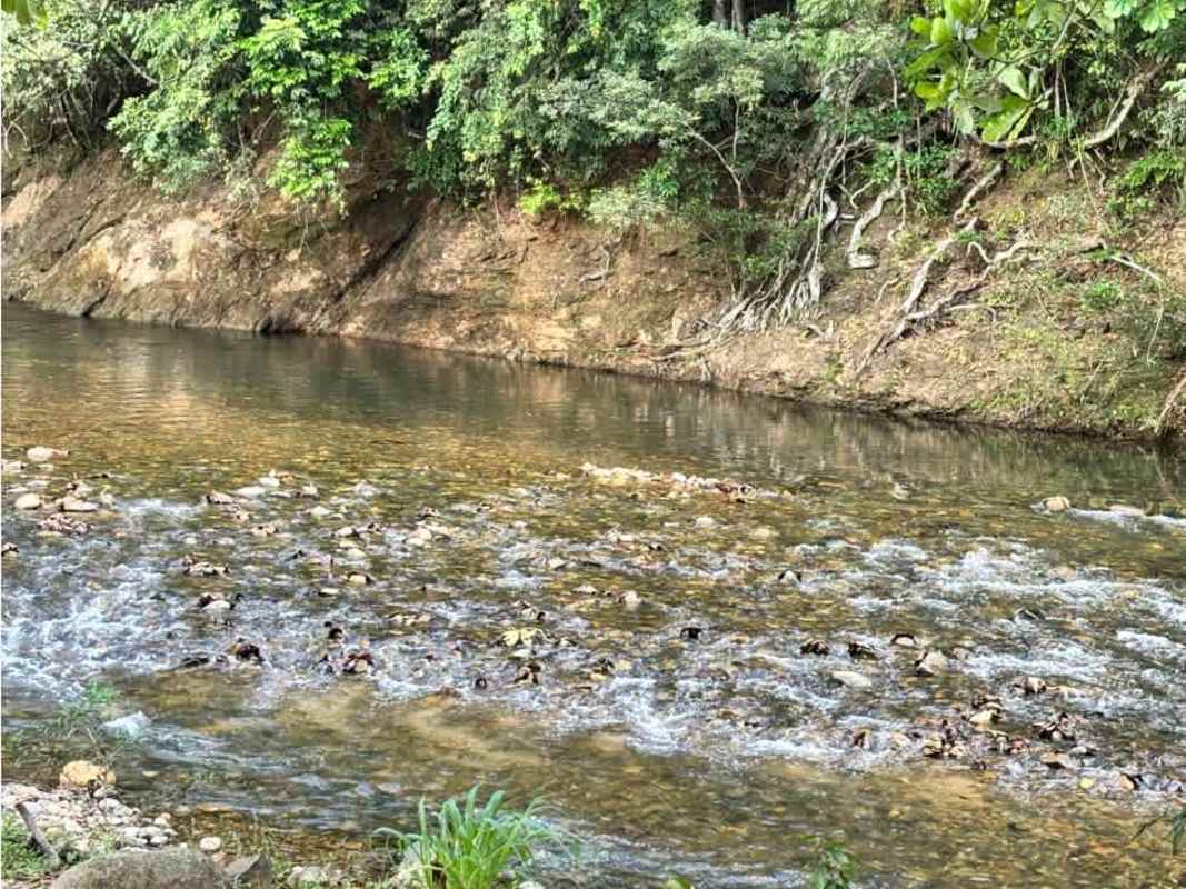 Refreshing clean river by countryside land for sale Los Nances La Pradera de Utive Pacora Panama