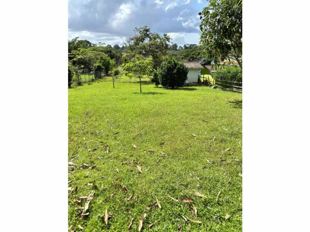 Large mango and cashew trees on Los Nances Pradera Utive 1600m lot Pacora