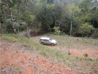 Clearing inside lush forest with access and parked vehicle Cerro Azul