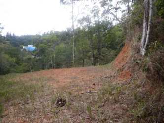 Slope lot with sparse tall trees and natural vegetation in Cerro Azul Panama