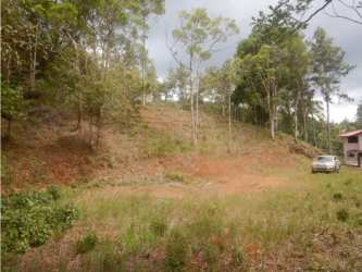 Natural earth slope with forest backdrop in Altos de Cerro Azul Panama