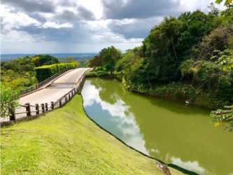 Paved community road and green surroundings land Coronado Panama