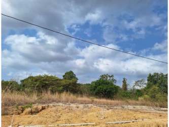 Natural landscape flat vacant lot with vegetation in Coronado San Carlos