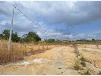 Flat undeveloped land near paved road and utility poles in Coronado Panama