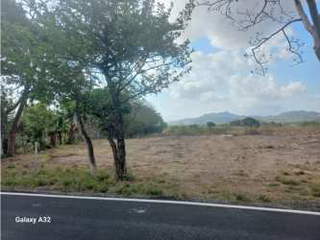 Land for Sale in Central Penonomé - 0 bedrooms