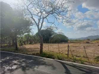 Open land plot with direct paved road access in central Coclé Panama