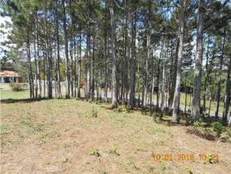 Nature filled residential lot in mountain community Altos del María for sale