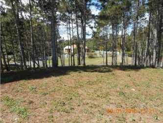 Cleared plot with forest surroundings in Altos del María Sora