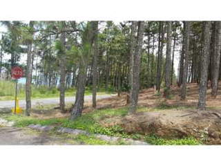 Land for Sale in Sora - 0 bedrooms