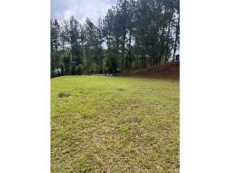 Vacant buildable land at edge of tropical forest Cerro Azul Panama
