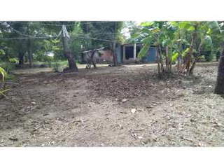 Property for rent in Panama City - 1 bedroom