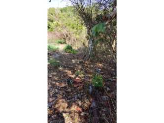 9 Hectares Flat Land Santa Rita Coclé for Development in El Chirú - View 3
