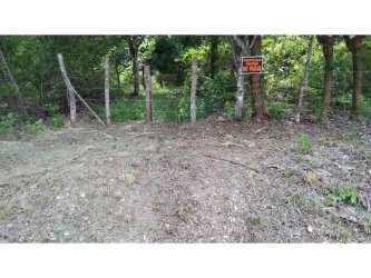 9 Hectares Flat Land Santa Rita Coclé for Development in El Chirú - View 9