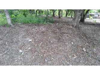 9 Hectares Flat Land Santa Rita Coclé for Development in El Chirú - View 7