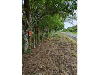 9 Hectares Flat Land Santa Rita Coclé for Development in El Chirú - View 8