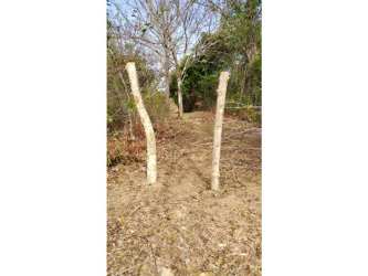 9 Hectares Flat Land Santa Rita Coclé for Development in El Chirú - View 5