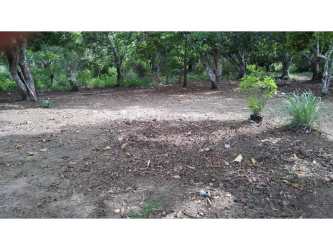 9 Hectares Flat Land Santa Rita Coclé for Development in El Chirú - View 11