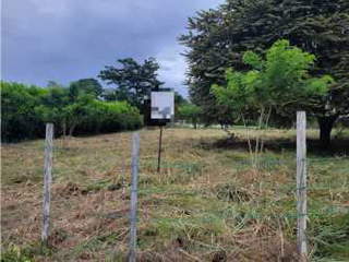 Land for Sale in Chame - 0 bedrooms