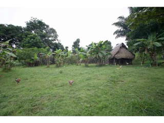 Farm / Ranch Land for Sale in Chilibre - 3 bedrooms