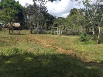 Rolling hills with green grass pasture on cattle ranch Tulú Coclé Panama