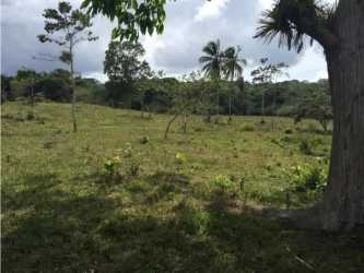 Natural creek flowing through wooded area on farm land in Penonomé Coclé Panama