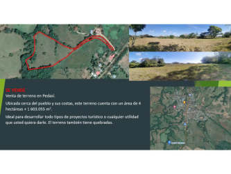 Natural landscape of farm with creek and wooded zones ideal for tourism development Pedasi Panama