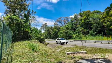 Wooded tropical forest with teak plantation trail on 1.5 hectare land for sale Bugaba Panama