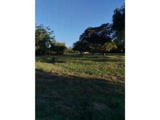 Land for Sale in Chame - 0 bedrooms