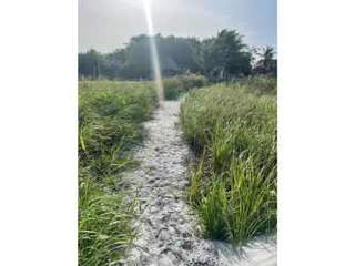 Beach House for Sale in Chame - 3 bedrooms