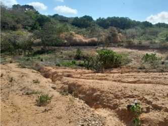 Large open plot of residential development land in Penonomé Coclé Panama