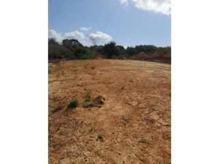 Land for Sale in Penonomé District - 0 bedrooms