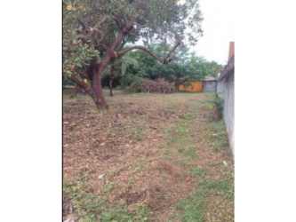 Grass and shaded lot near residential homes coastal Panama Gorgona
