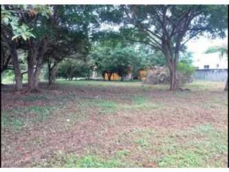 Large cleared tract with trees perfect for home or investment Nueva Gorgona