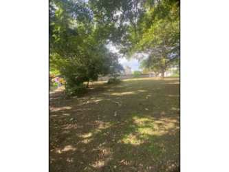 Cleared fenced flat lot ready to build in Nueva Gorgona Panama beach area