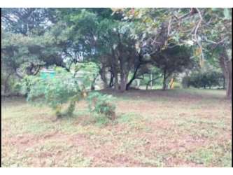 Natural-style lot with canopy trees perfect for development Nueva Gorgona Panama