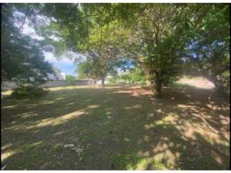 Large wooded lot grassy open space Nueva Gorgona Panama lots for sale