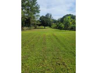 View of gated grassy property with trees near San Carlos beach