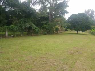 Land for sale with trees close to Playa Corona beach in Panama