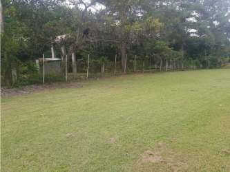 Large rustic fenced lot for sale near San Carlos beach Panama
