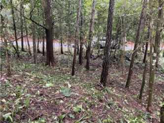 Vacant mountain wooded land lot inside secure community Cerro Azul Panama