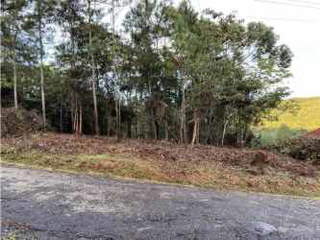Land for Sale in Cerro Azul - 0 bedrooms