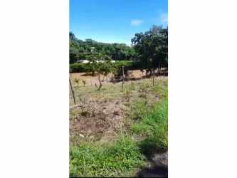 Open fenced plot with grass and trees ideal for development in beach town Playa Corona Panama
