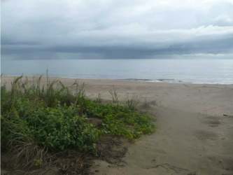 Dirt yard with trees and overhang on beachfront land in Pocri Los Santos Panama